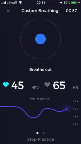 Breathing_Pacer_Screen